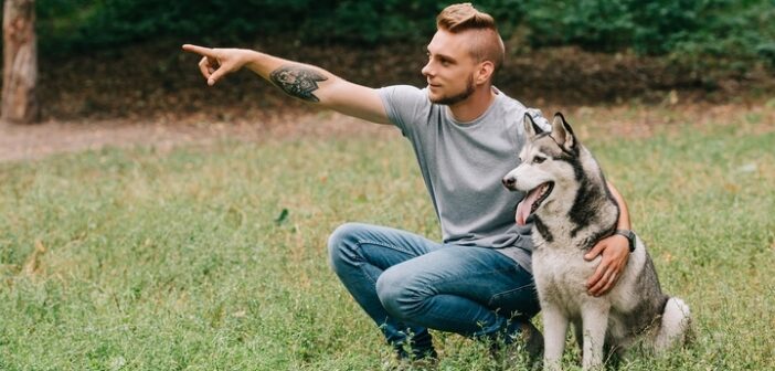 How to Raise a Healthy Dog