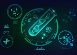 The Four Things to Consider About Ancestry DNA testing